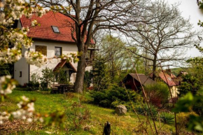 Domek pod dębami in Brodnica Dolna